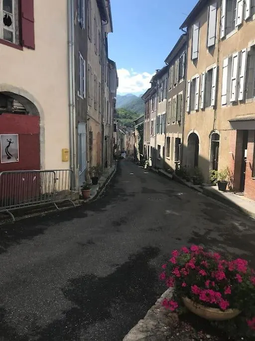 Apartamento Joli Appart Au Coeur Du Village Castillon-en-Couserans